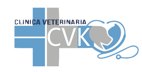 Clinica CVK